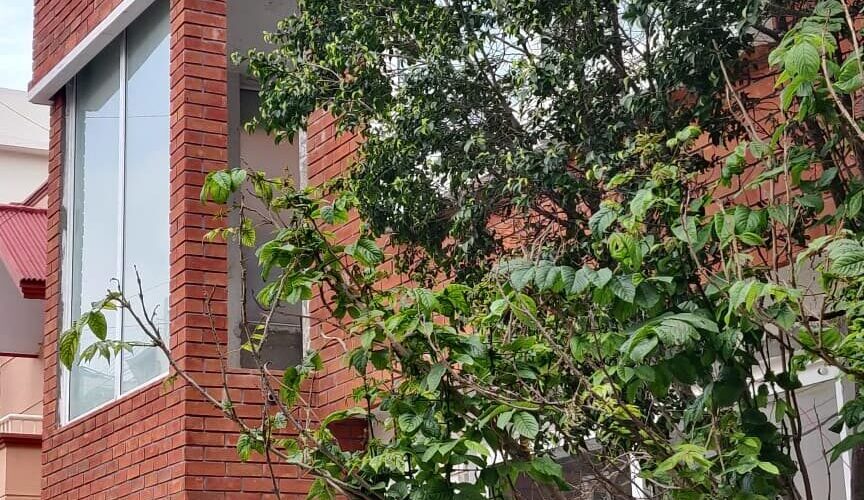 WhatsApp Image 2025-07-30 at 14.43.11